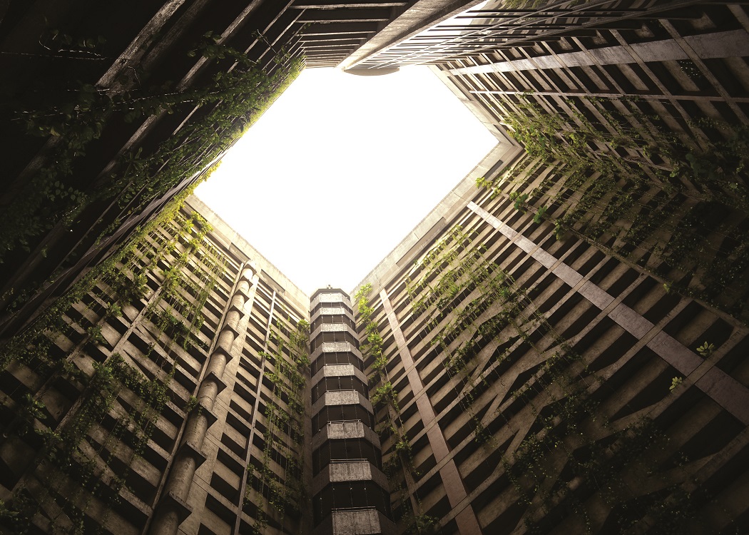 nature-building-high-rise-plants