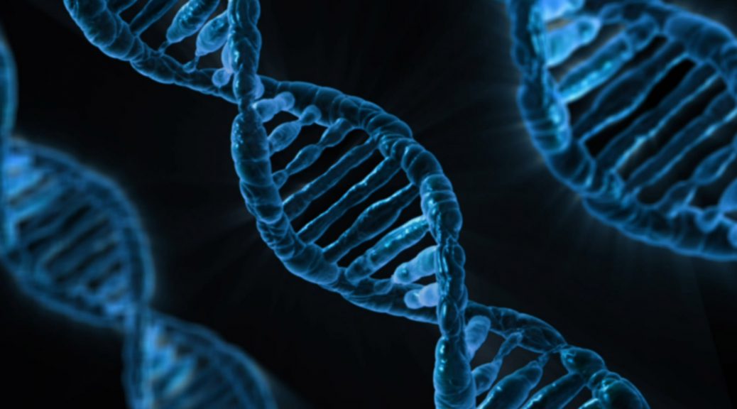 dna-163466